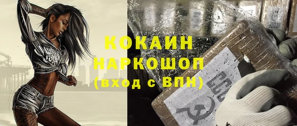 сатива Баксан