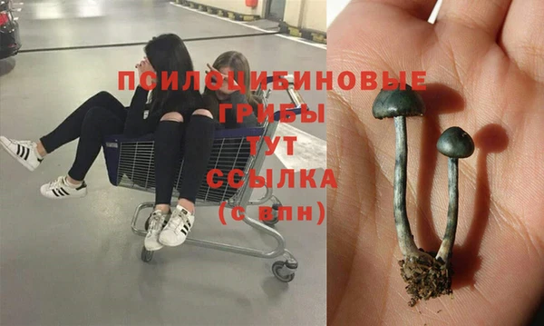 меф Балахна