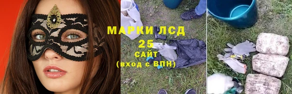 сатива Баксан