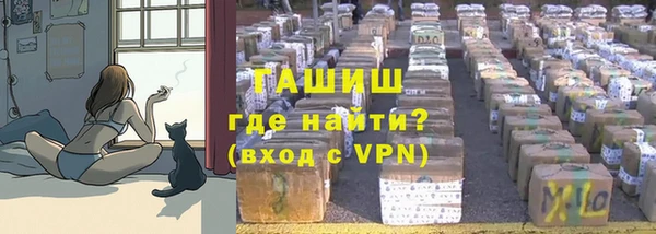 сатива Баксан