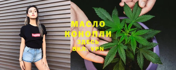 сатива Баксан