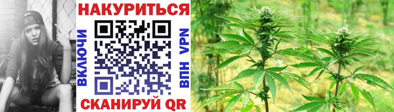 omg вход  Курчалой  Каннабис Bruce Banner 